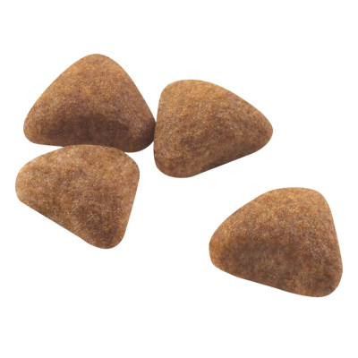 Thức Ăn Cho Mèo Royal Canin Indoor 27 (400g)