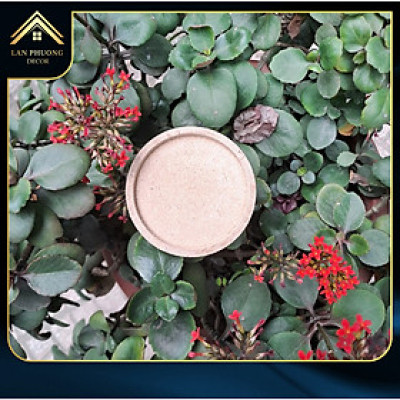 Lót ly gỗ tự nhiên , gỗ MDF phủ melamine chống nước bề mặt