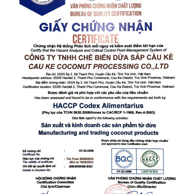 Combo 1 Dừa sáp sấy giòn VICOSAP 1 Bánh dừa sáp chuối ít đường đồ ăn vặt healthy đặc sản Trà Vinh