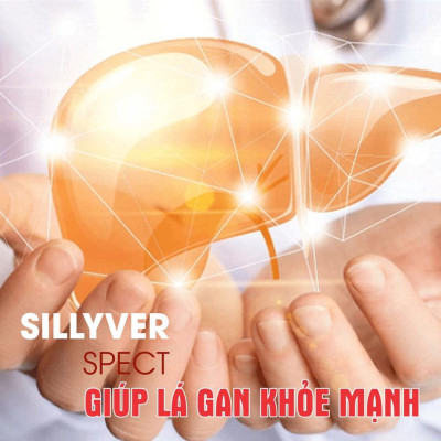 Viên Uống Sillyver Spect Hộp 30 Viên Giúp Hỗ Trợ Bảo Vệ Gan, Tăng Cường Chức Năng Giải Độc Gan