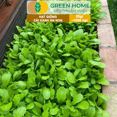 Hạt Giống Rau Greenhome, Ăn Lá, Nhiều Loại, Trồng Chậu, Dễ Trồng, Trồng Quanh Năm, Năng Suất Cao