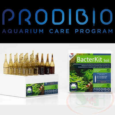 Vi sinh dưỡng nền Prodibio BacterKit Soil khởi tạo setup bể thủy sinh cá tép cảnh