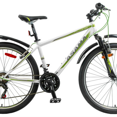 Xe đạp thể thao Asama MTB2604