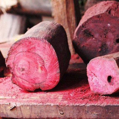 Tinh dầu Gỗ Hồng (Hồng Mộc) nguyên chất từ thiên nhiên, xông phòng, khử mùi, thơm phòng, đuổi muỗi, thư giản - KingOil