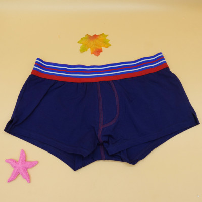 Quần thun nam mặc ngủ, thể thao, tập gym - A077