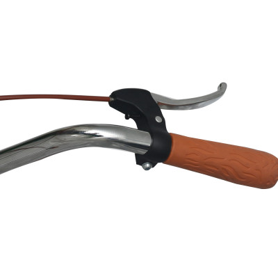 Xe Đạp Phổ Thông Nữ - FORNIX - ALS24 - Vòng Bánh 24" - Bảo Hành 12 Tháng