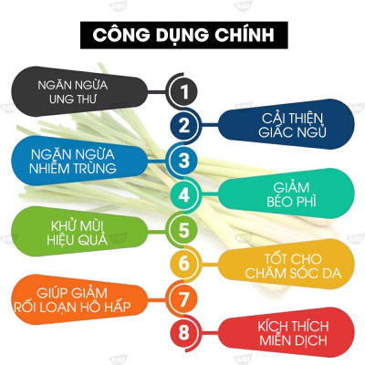 Tinh Dầu Sả Chanh Đuổi Muỗi Kobi, Dùng Lau Sàn Nhà, Giúp Khử Mùi, Thơm Phòng (30ml)