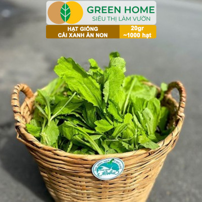 Hạt Giống Rau Greenhome, Ăn Lá, Nhiều Loại, Trồng Chậu, Dễ Trồng, Trồng Quanh Năm, Năng Suất Cao