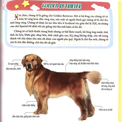 Bách Khoa Động Vật Dành Cho Trẻ Nhỏ - Thú Cưng