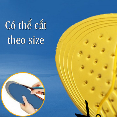 Miếng lót giày thể thao thoáng khí V.3 - Size nam (41-45)