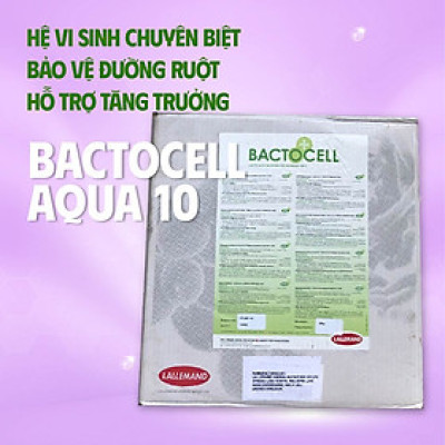 Men đường ruột cao cấp cho tôm cá BACTOCELL AQUA 10