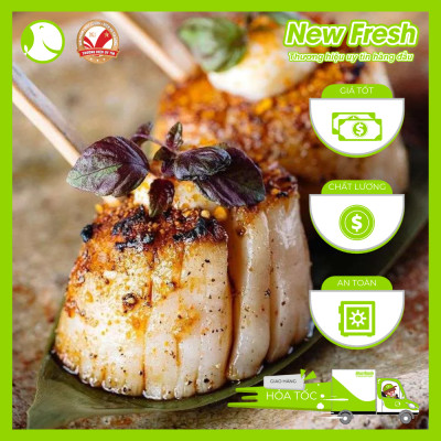  Cồi Sò Điệp Nhật Bản Sashimi Hokkaido - Hộp 1Kg