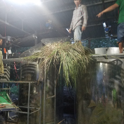 Tinh dầu Sả Java 50ml Mộc Mây - tinh dầu thiên nhiên nguyên chất 100% - chất lượng và mùi hương vượt trội