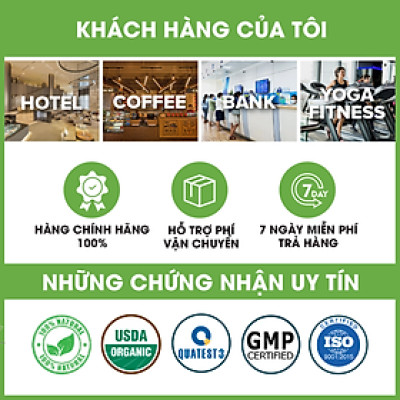 Tinh Dầu Hoa Trà Nguyên Chất Hữu Cơ MỘC THỦY 100ML - Camellia Essential Oil - Khử Mùi Xông Thơm Phòng, Thư Giãn - Đạt chuẩn chất lượng kiểm định