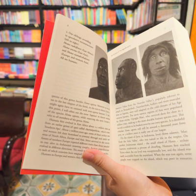 Sách - Sapiens: A Brief History of Humankind by Yuval Noah Harari/Civilization & Culture/Multi-million copy bestseller