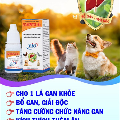 Bio Hepatol B12 mát gan, giải độc, kích thích thèm ăn cho thú cưng