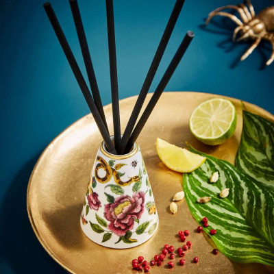 Bộ Tinh dầu khuếch tán thơm phòng nhập khẩu Anh Quốc Snake PM Creatures of Curiosity CRCSN4229-XG