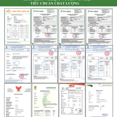 Tinh dầu Khuynh Diệp (bạch đàn) 50ml nguyên chất từ thiên nhiên - KingOil