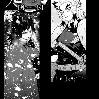 Demon Slayer: Kimetsu No Yaiba Side Stories (Japanese Edition)