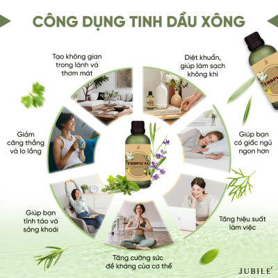 Cozy Bloom - Tinh Dầu Xông Máy, Tinh Dầu Thơm Phòng Thiên Nhiên 100ml Cao Cấp, Sang Trọng