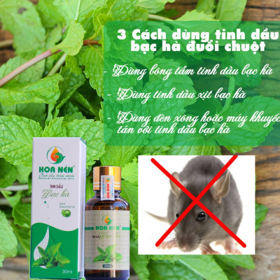 Tinh dầu Bạc Hà nguyên chất 50ml - Hoa Nén - Vegan - Thư giãn, khử mùi, đuổi chuột