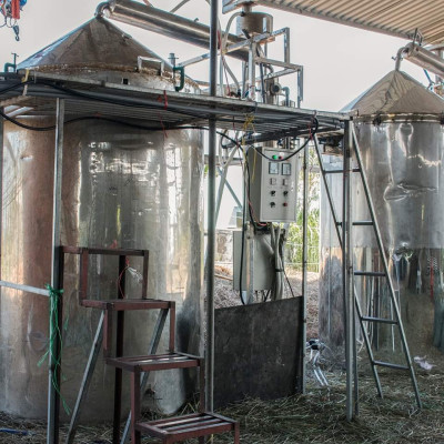 Tinh dầu Bạc hà hữu cơ Mộc Mây chai 500ml và 1Lít - tinh dầu nguyên chất từ thiên nhiên - chất lượng và mùi hương vượt trội