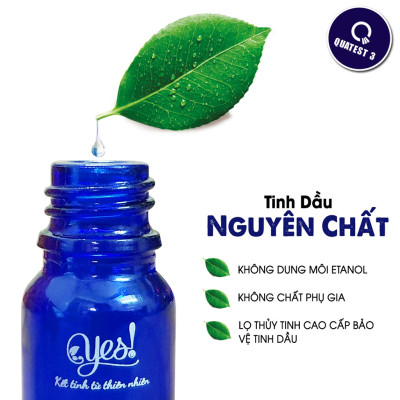 TINH DẦU BẠCH ĐÀN CHANH YES! ( EUCALYPTUS CITRIODORA ESSENTIAL OIL )