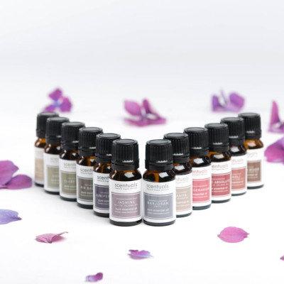 Tinh Dầu Lá Quế 10ml