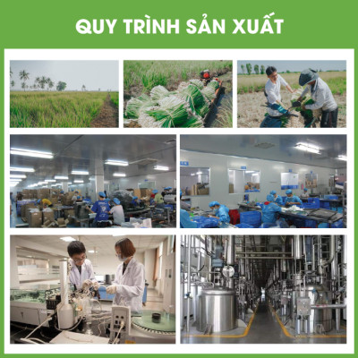 Tinh Dầu Tràm Huế Nguyên Chất Hữu Cơ MỘC THỦY 100ML - Cajeput Essential Oil - Khử Mùi Xông Thơm Phòng, Thư Giãn - Đạt chuẩn chất lượng kiểm định