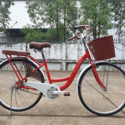 Xe đạp mini Vinabike 26inch đẹp, nan thưa