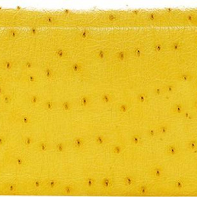 Ví Nữ Da Đà Điểu 3 Gấp Huy Hoàng HT3404 (19 x 10.5 cm) - Vàng