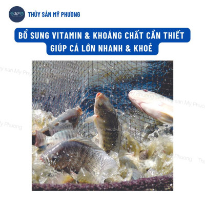 Bo bo trứng nước đông lạnh tạo phù du thức ăn tự nhiên hiệu quả không già Grow Fish cho tôm thẻ cá lươn ếch ốc ba ba