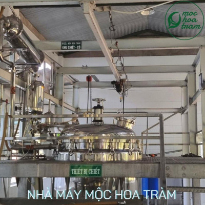 Tinh dầu Tràm Gió Melakim Mộc Hoa Tràm, Tinh dầu thiên nhiên, Nguyên chất 100%
