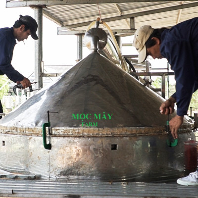 Tinh dầu Sả Java 50ml Mộc Mây - tinh dầu thiên nhiên nguyên chất 100% - chất lượng và mùi hương vượt trội