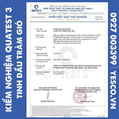 TINH DẦU TRÀM GIÓ YES! (CAJEPUT ESSENTIAL OIL)