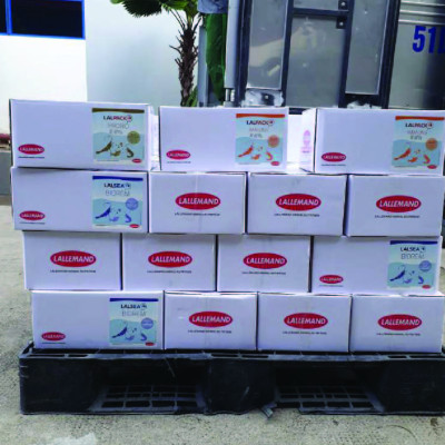 Men đường ruột cho tôm cá LEVUCELL SB20