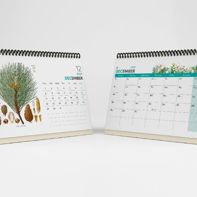 Lịch Bàn 2025 - Desk Calendar Nguyễn Trắc - Wild Flower and Herb