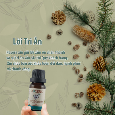 Tinh Dầu Bạc Hà Nguyên Chất Chai 10ml Giúp Thơm Phòng, Kháng Khuẩn, Tạo Cảm Giác Hưng Phấn, GiảmStress