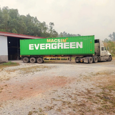 Lọc gió điều hòa cao cấp Macsim N95 xe ô tô Toyota Camry 2007-2017 (mã MS1919)