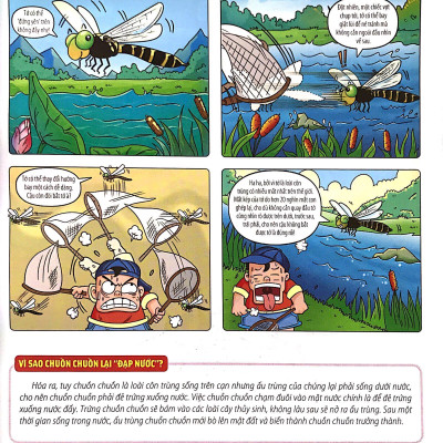 Bách Khoa Động Vật Dành Cho Trẻ Nhỏ - Côn Trùng