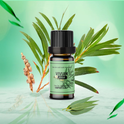 Tinh dầu nguyên chất Vivian 10 ml có kiểm định chất lượng