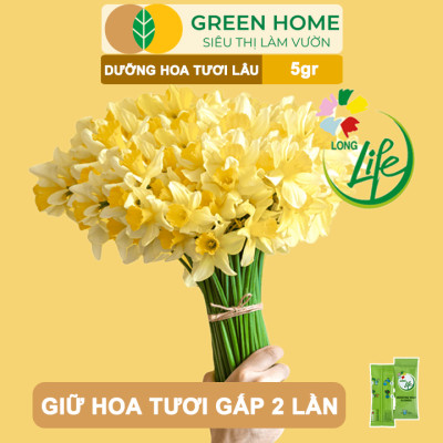 10Gói Dưỡng Hoa Tươi Lâu Greenhome, Longlife, Bón Cho Hoa Cắt Cành, Gói 5gr, Lâu Tàn, Không Hôi Nước