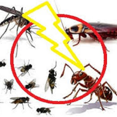 TINH DẦU SẢ CHANH NGUYÊN CHẤT MẸ KEN (100ml)