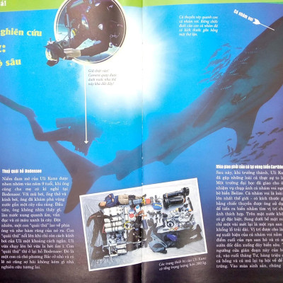 Thế Nào Và Tại Sao - Các Loài Cá - Thế Giới Diệu Kì Dưới Nước