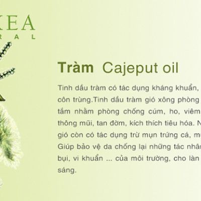 Tinh Dầu Tràm Biyokea (10ml)