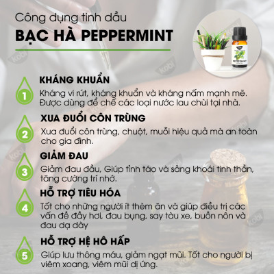 Combo 3 Tinh Dầu Kobi Nhập Khẩu Ấn Độ: Tinh Dầu Sả Chanh (30ml) + Tinh Dầu Bạc Hà (30ml) + Tinh Dầu Cam Ngọt (30ml) - Tinh Dầu Thiên Nhiên Nguyên Chất, Giúp Giảm Stress, Xua Đuổi Côn Trùng Và Khử Mùi Hiệu Quả, Thích Hợp Dùng Với Đèn Xông Và Máy Khuếch Tán