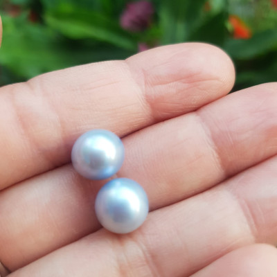 Đôi Bông Tai Ngọc Trai xanh dương nhẹ bóng đẹp 9mm  Size hạt 9mm ngọc trai cao cấp thiên nhiên mệnh Thủy Mộc   Nữ về bọc Vàng làm đôi bông tai vàng đeo cực kỳ xinh luôn ạ