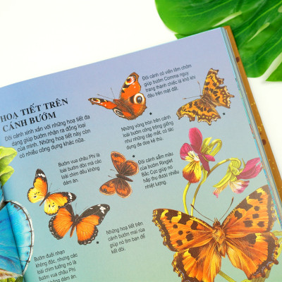 Sách Thiếu Nhi – Bách Khoa Tri Thức Dành Cho Trẻ Em – Đinh Tị