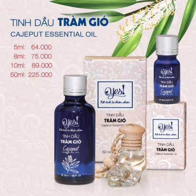 TINH DẦU TRÀM GIÓ YES! (CAJEPUT ESSENTIAL OIL)