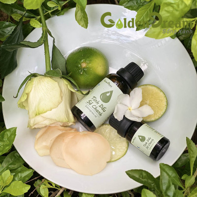 Tinh Dầu Sả Chanh Golden Dream 500ML Nguyên Chất 100% Thiên Nhiên Việt Nam, Tự Hào Nông Sản Việt